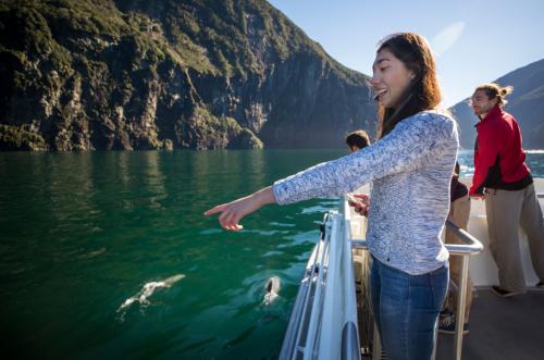 Passengers and dolphins landscape