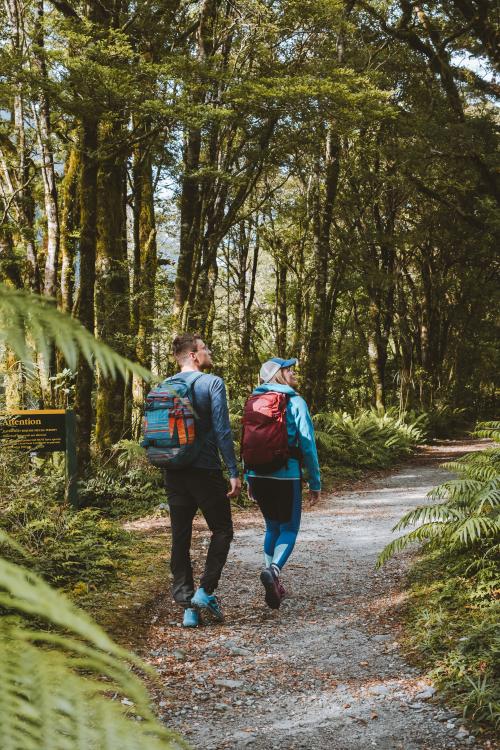 Milford Track terrain