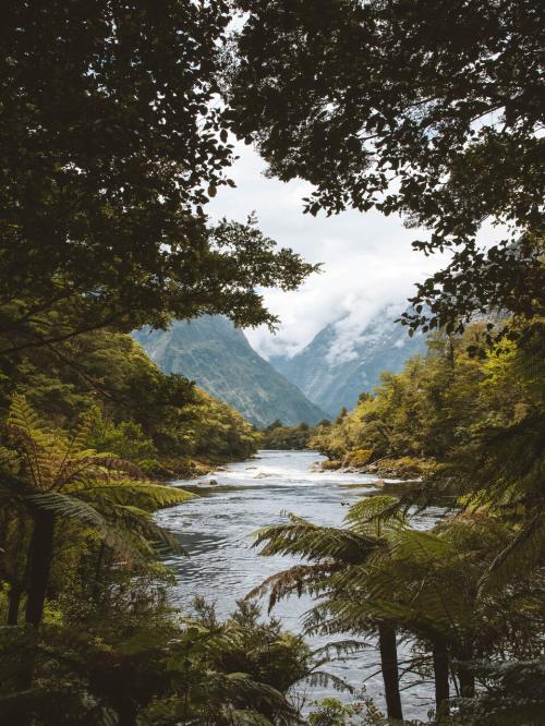 Milford Track Scenery