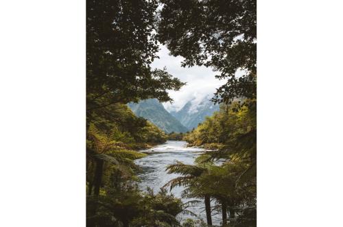 Milford Track Scenery