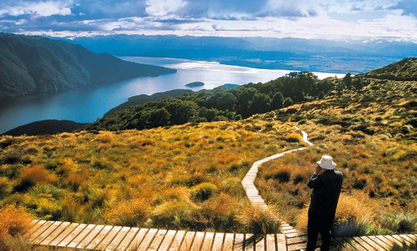 Milford Sound self drive