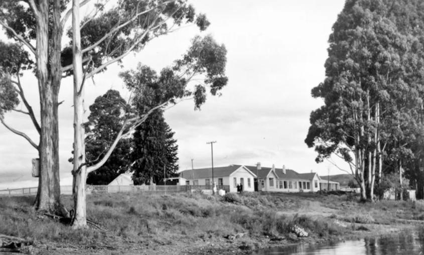 Milford Sound self drive
