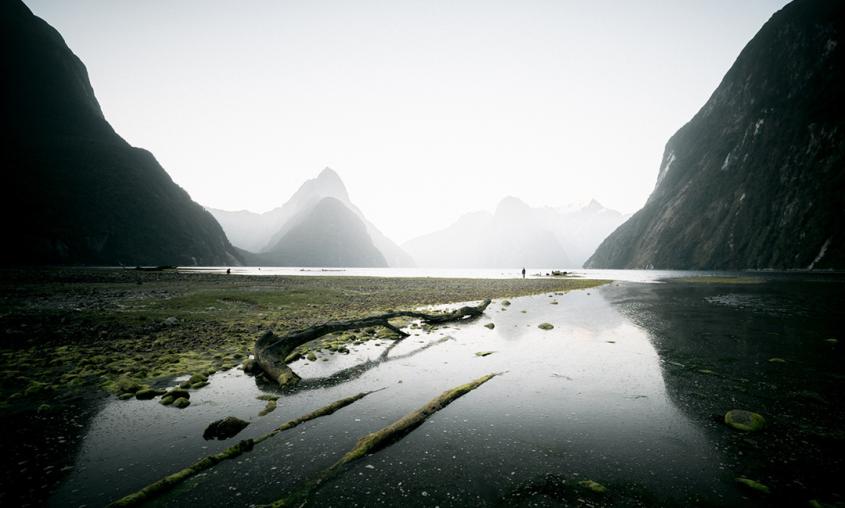 Milford Sound self drive