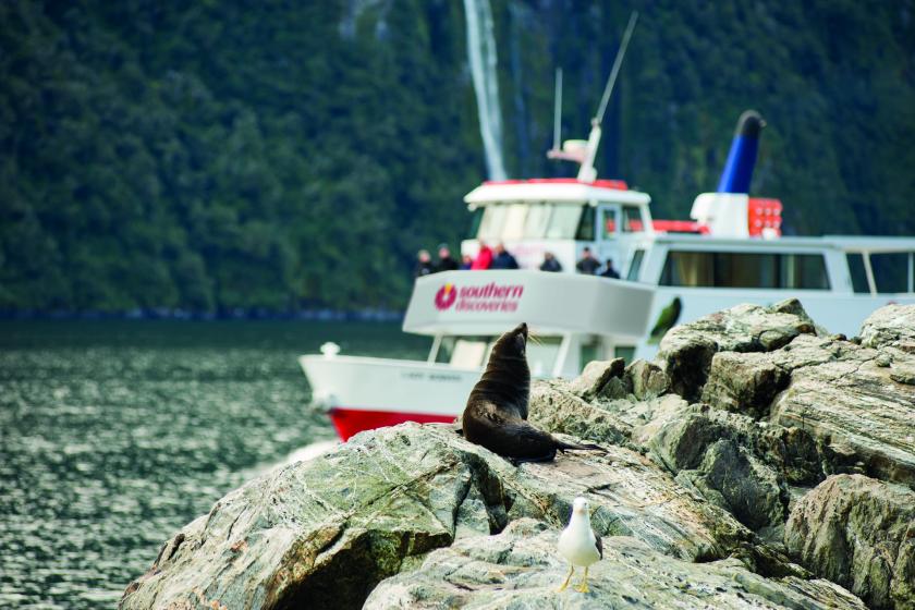 10% off Discover More Cruise