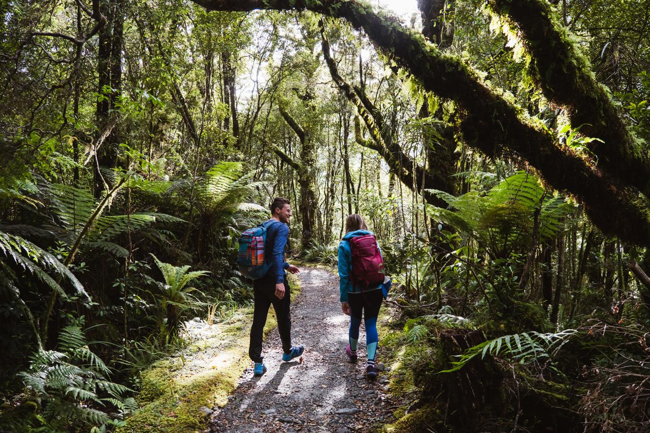 Milford Sound Coach, Nature Cruise & Milford Track