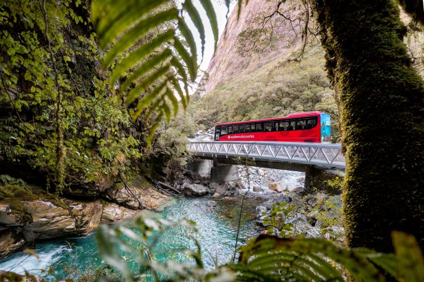 Save 15% Milford Sound Discover More Coach & Cruise