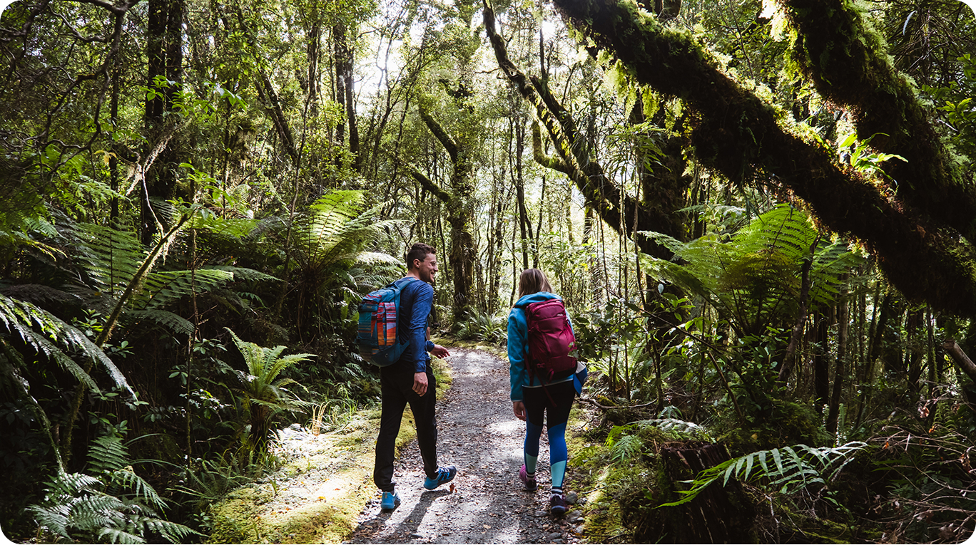 What To Do In Milford Sound