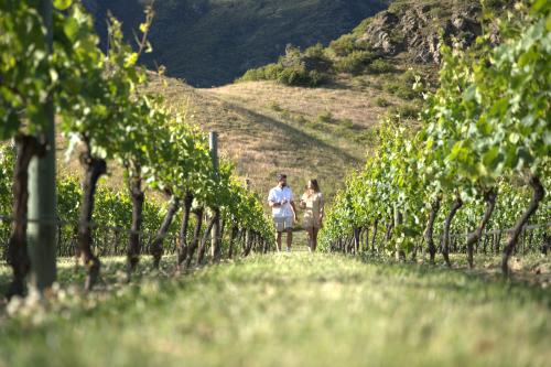 Queenstown Wine Tour