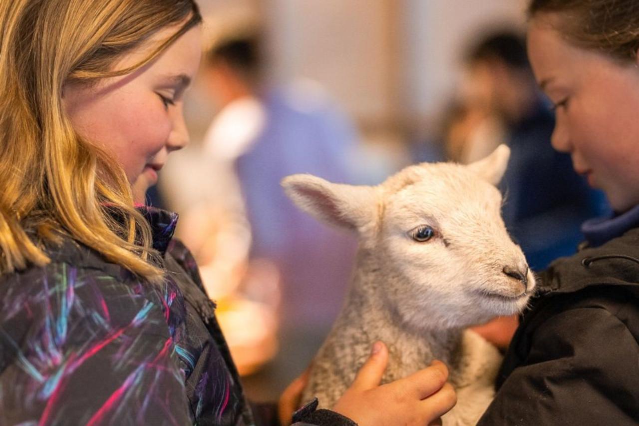Farm Tour & Milford Sound Nature Cruise