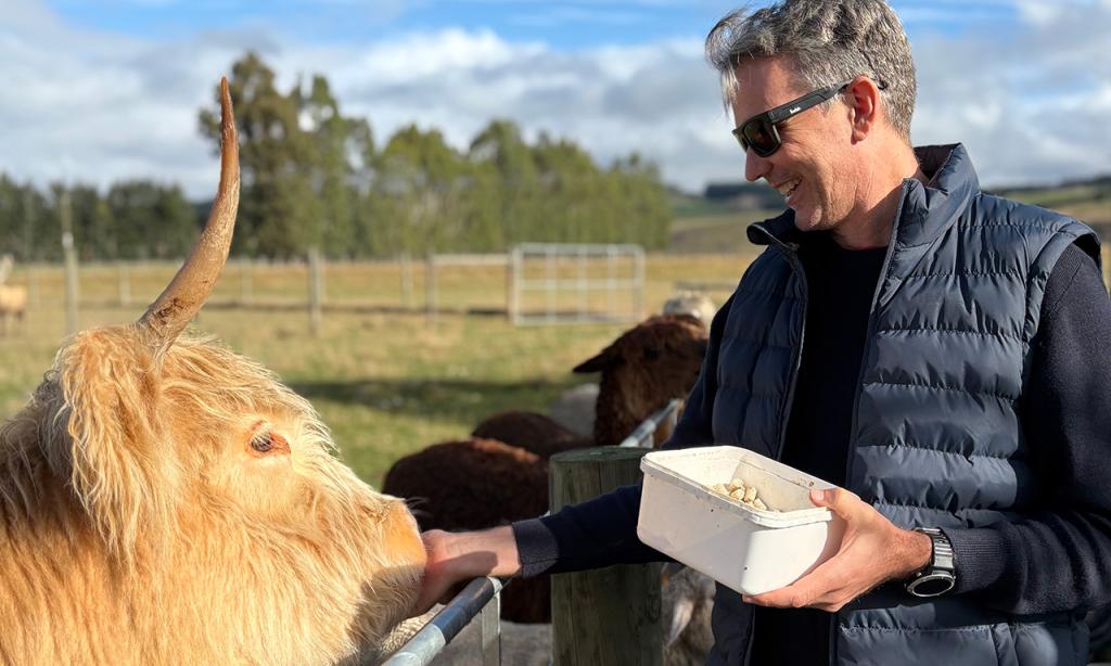 Milford Sound Coach, Farm Tour & Nature Cruise