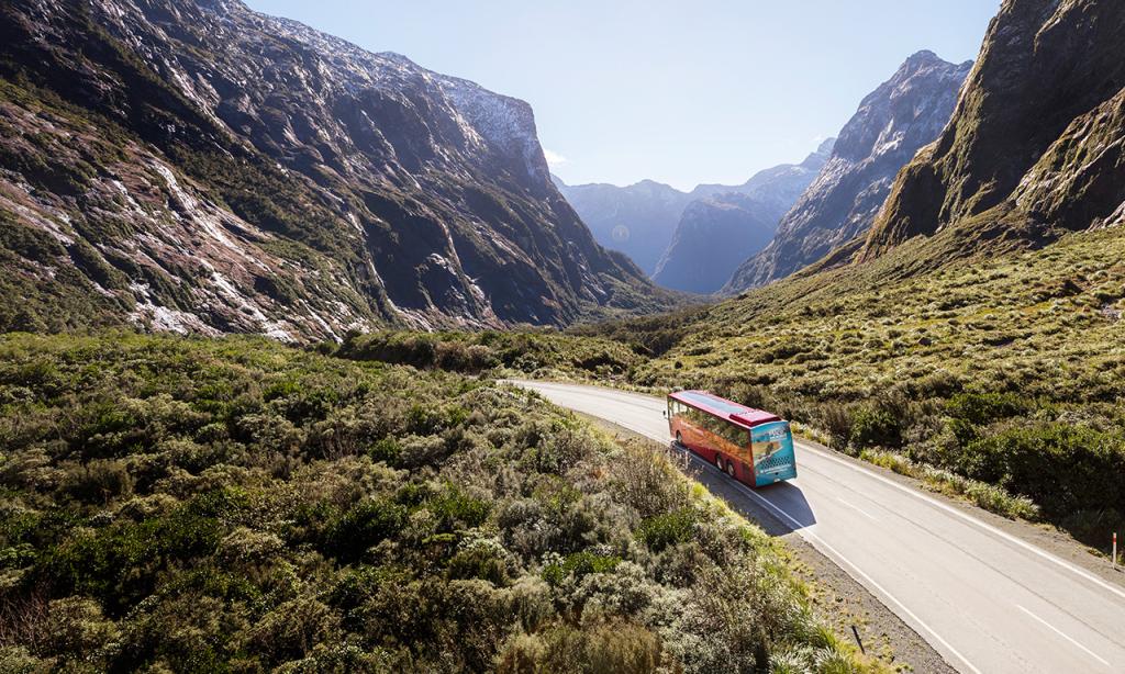 Milford Sound Coach & Discover More