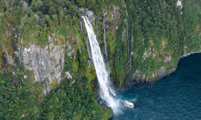 Top 5 reasons why a Milford Sound Coach & Discover More Cruise is a must do!