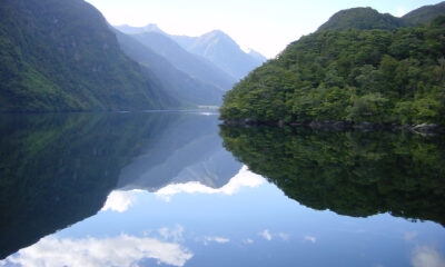 Milford or Doubtful Sound? Here’s what you need to know to choose.